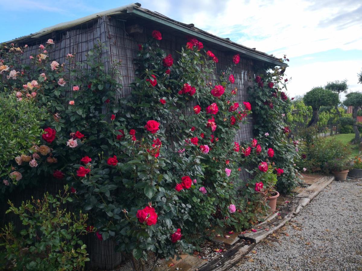 Agriturismo I Colli Montaione Exterior photo